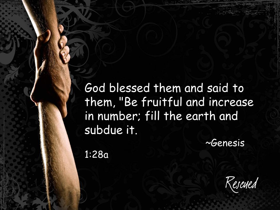 God blessed them and said to them, Be fruitful and increase in number; fill the earth and subdue it.