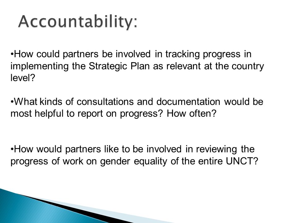 How could partners be involved in tracking progress in implementing the Strategic Plan as relevant at the country level.