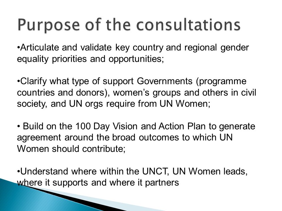 Articulate and validate key country and regional gender equality priorities and opportunities; Clarify what type of support Governments (programme countries and donors), women’s groups and others in civil society, and UN orgs require from UN Women; Build on the 100 Day Vision and Action Plan to generate agreement around the broad outcomes to which UN Women should contribute; Understand where within the UNCT, UN Women leads, where it supports and where it partners