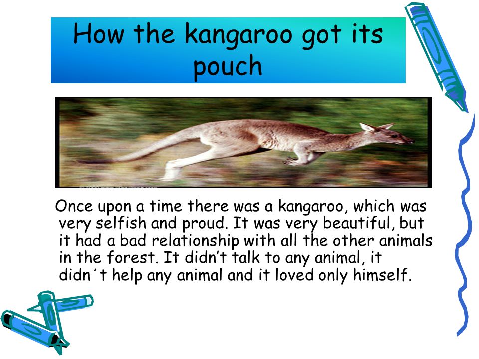 How the kangaroo got its pouch Once upon a time there was a kangaroo, which was very selfish and proud.