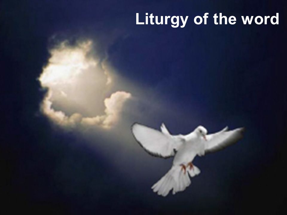 Liturgy of the word