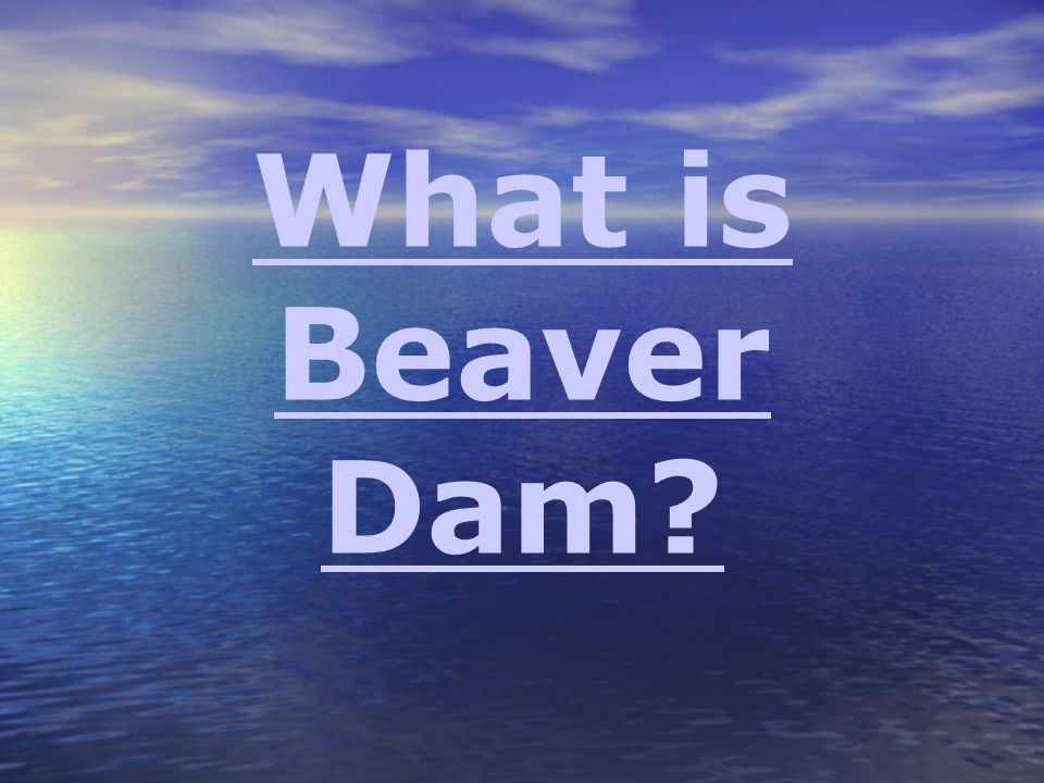 What is Beaver Dam