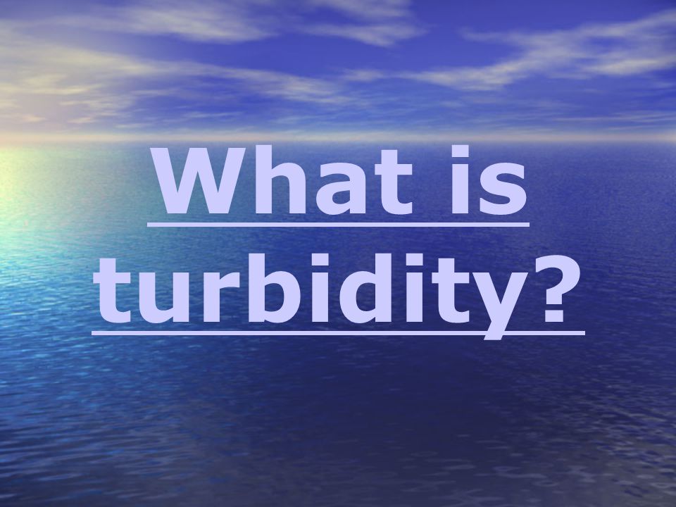 What is turbidity