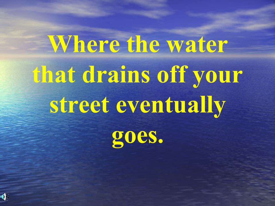 Where the water that drains off your street eventually goes.