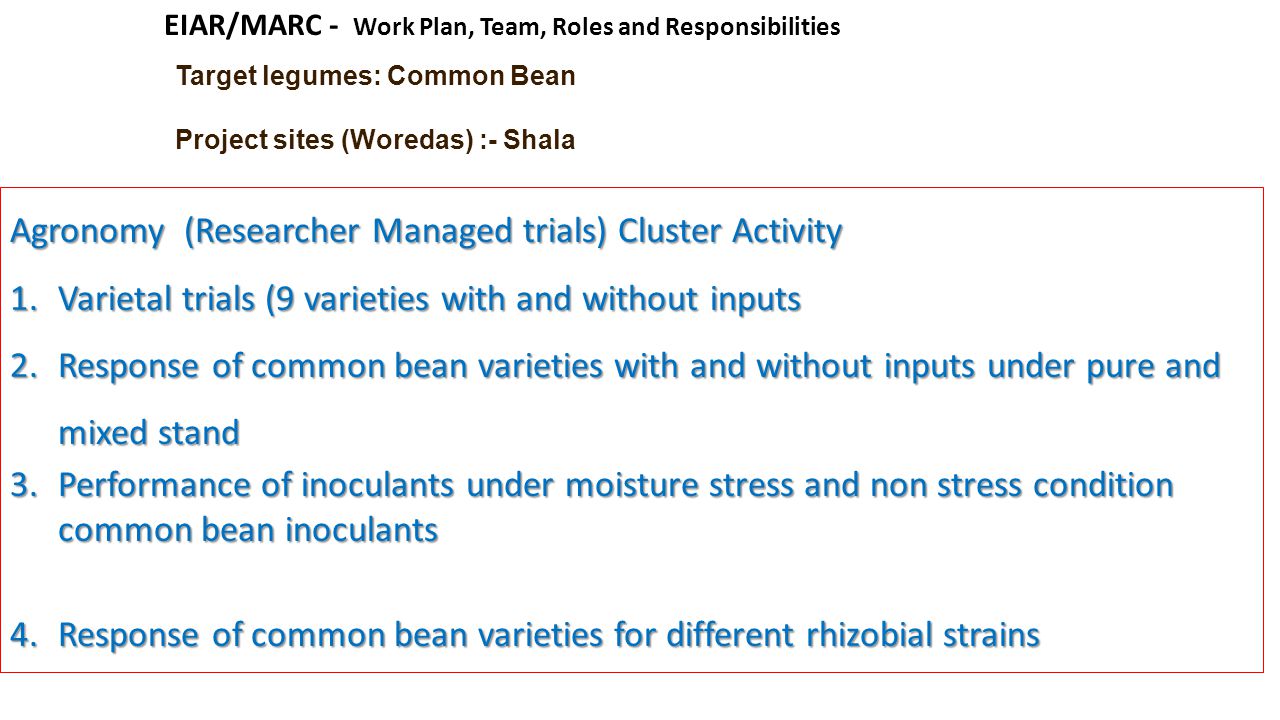 Target legumes: Common Bean Project sites (Woredas) :- Shala EIAR/MARC - Work Plan, Team, Roles and Responsibilities Agronomy (Researcher Managed trials) Cluster Activity 1.Varietal trials (9 varieties with and without inputs 2.Response of common bean varieties with and without inputs under pure and mixed stand 3.Performance of inoculants under moisture stress and non stress condition common bean inoculants 4.Response of common bean varieties for different rhizobial strains