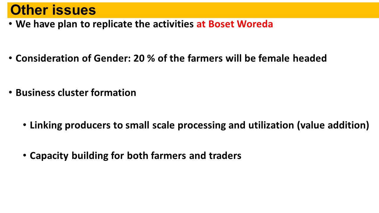 Other issues We have plan to replicate the activities at Boset Woreda Consideration of Gender: 20 % of the farmers will be female headed Business cluster formation Linking producers to small scale processing and utilization (value addition) Capacity building for both farmers and traders