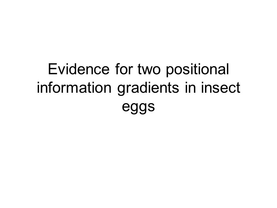 Evidence for two positional information gradients in insect eggs