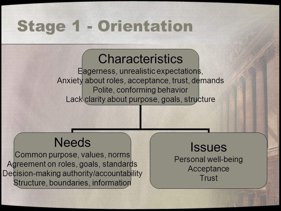 Stage 1 - Orientation Characteristics Eagerness, unrealistic expectations, Anxiety about roles, acceptance, trust, demands Polite, conforming behavior Lack clarity about purpose, goals, structure Needs Common purpose, values, norms Agreement on roles, goals, standards Decision-making authority/accountability Structure, boundaries, information Issues Personal well-being Acceptance Trust