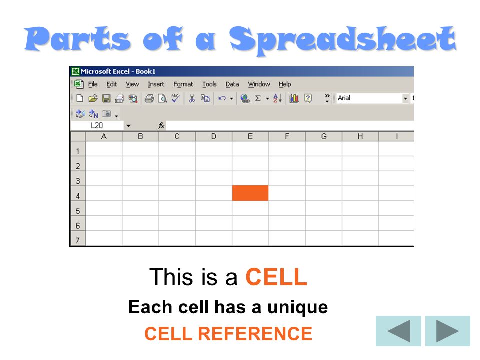 Parts of a Spreadsheet This is a ROW Rows are labelled with numbers.