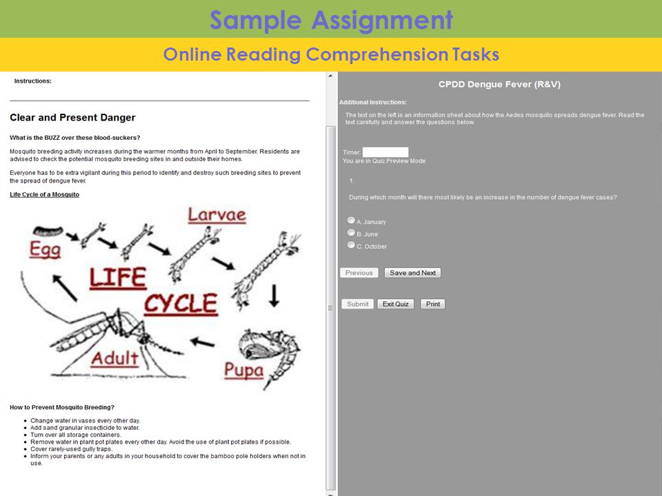 Online Reading Comprehension Tasks Sample Assignment