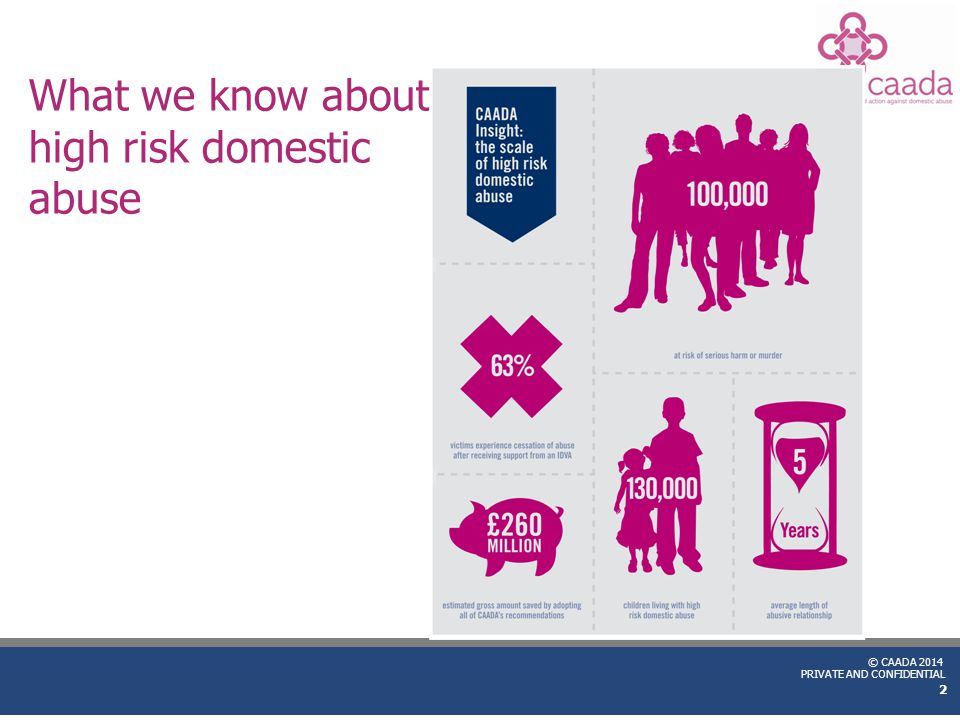 © CAADA 2014 PRIVATE AND CONFIDENTIAL What we know about high risk domestic abuse 2