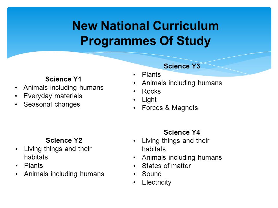 New National Curriculum Programmes Of Study Science Y1 Animals including humans Everyday materials Seasonal changes Science Y2 Living things and their habitats Plants Animals including humans Science Y3 Plants Animals including humans Rocks Light Forces & Magnets Science Y4 Living things and their habitats Animals including humans States of matter Sound Electricity