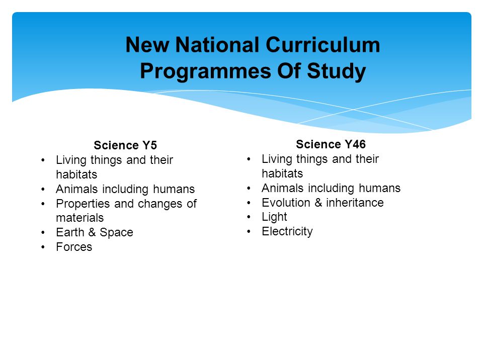 New National Curriculum Programmes Of Study Science Y5 Living things and their habitats Animals including humans Properties and changes of materials Earth & Space Forces Science Y46 Living things and their habitats Animals including humans Evolution & inheritance Light Electricity