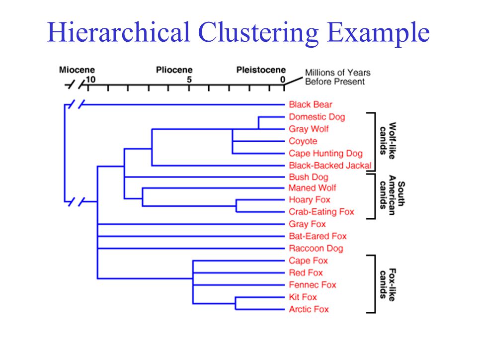 Hierarchical Clustering Example