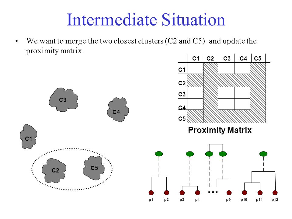 Intermediate Situation We want to merge the two closest clusters (C2 and C5) and update the proximity matrix.