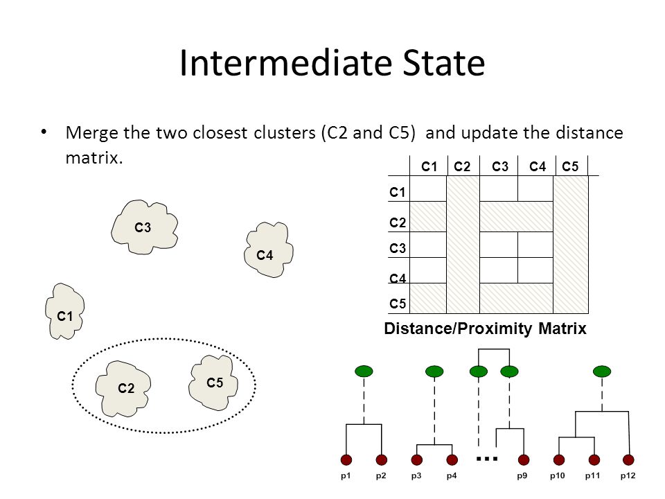 Intermediate State Merge the two closest clusters (C2 and C5) and update the distance matrix.