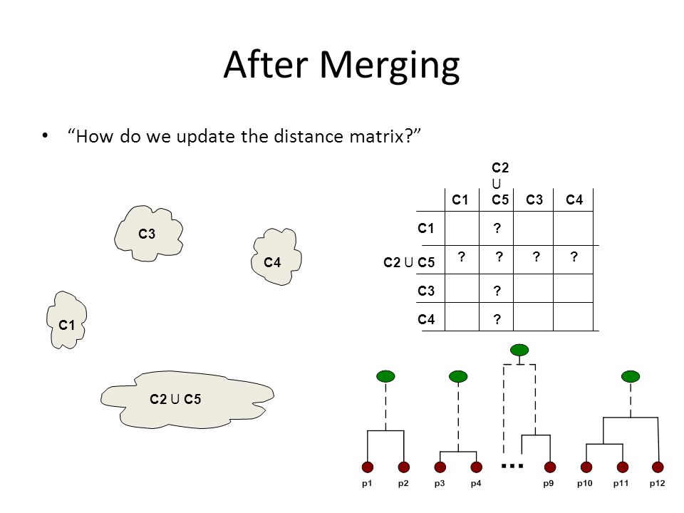 After Merging How do we update the distance matrix C1 C4 C2 U C5 C3 .