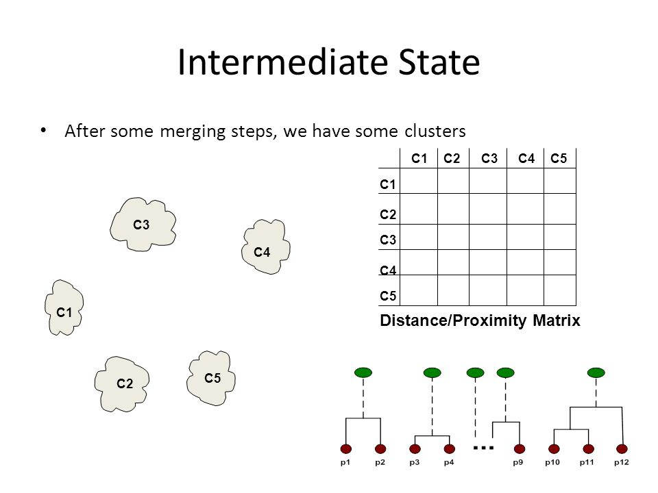 Intermediate State After some merging steps, we have some clusters C1 C4 C2 C5 C3 C2C1 C3 C5 C4 C2 C3C4C5 Distance/Proximity Matrix