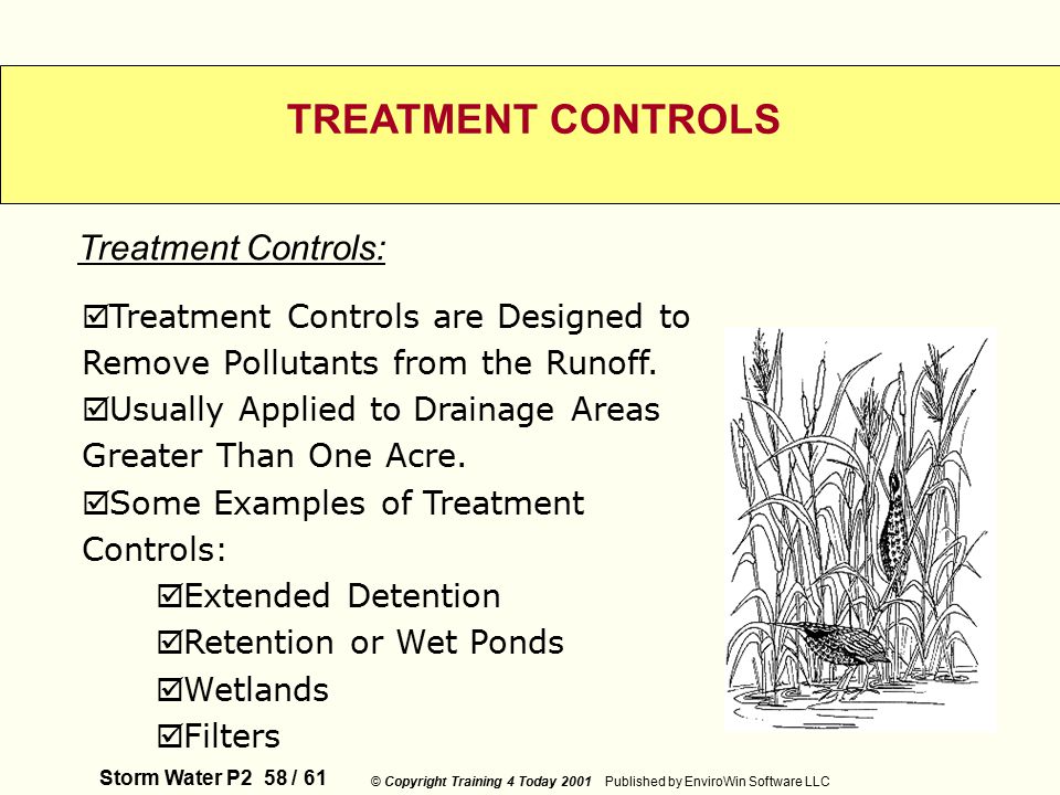 Storm Water P2 58 / 61 © Copyright Training 4 Today 2001 Published by EnviroWin Software LLC TREATMENT CONTROLS  Treatment Controls are Designed to Remove Pollutants from the Runoff.