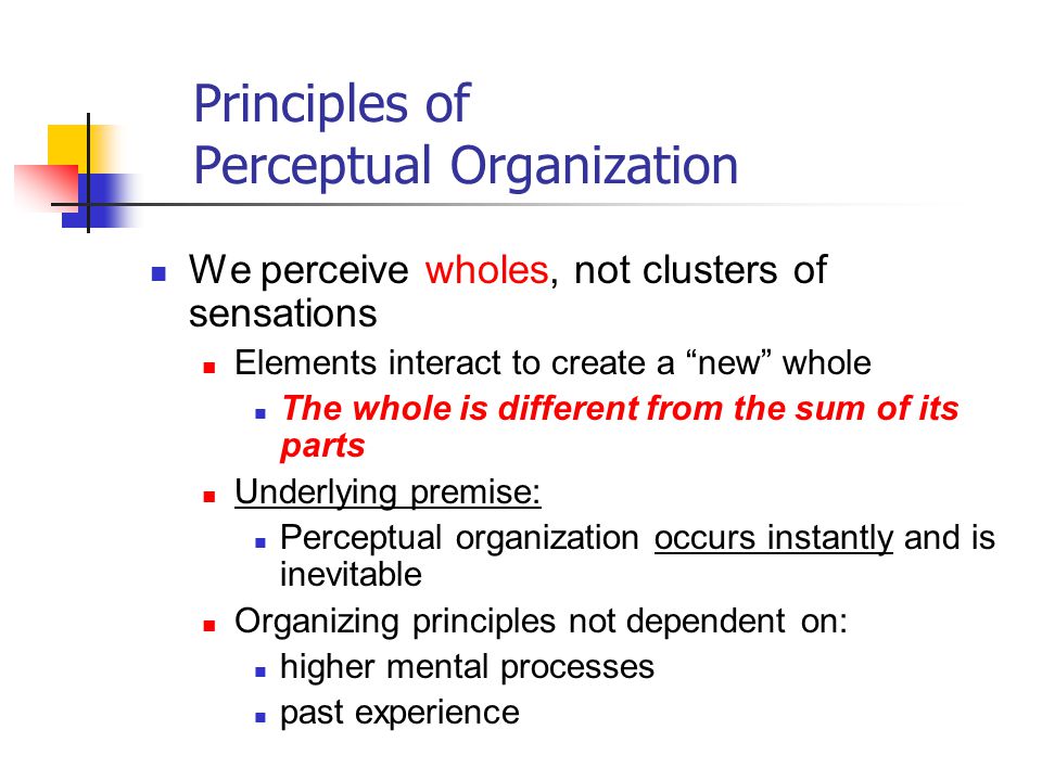 Principles of Perceptual Organization We perceive wholes, not clusters of sensations Elements interact to create a new whole The whole is different from the sum of its parts Underlying premise: Perceptual organization occurs instantly and is inevitable Organizing principles not dependent on: higher mental processes past experience