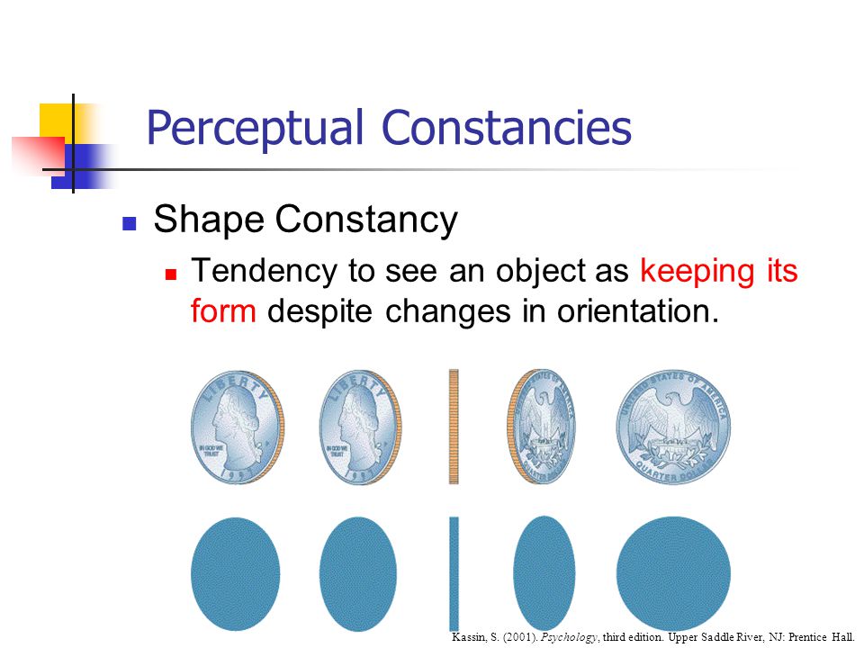 Shape Constancy Tendency to see an object as keeping its form despite changes in orientation.