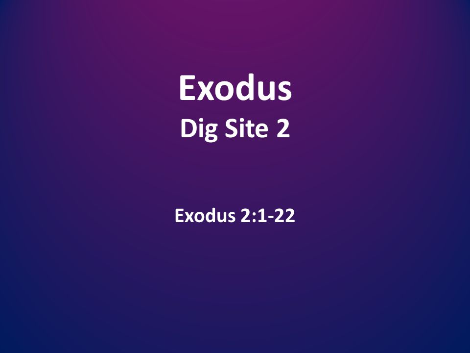Exodus Dig Site 2 Exodus 2:1-22