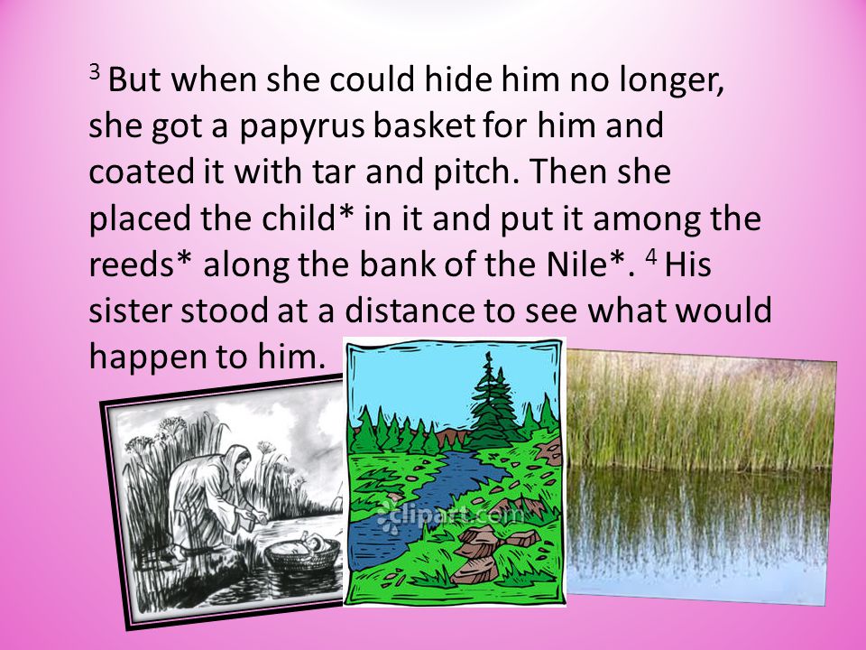 3 But when she could hide him no longer, she got a papyrus basket for him and coated it with tar and pitch.