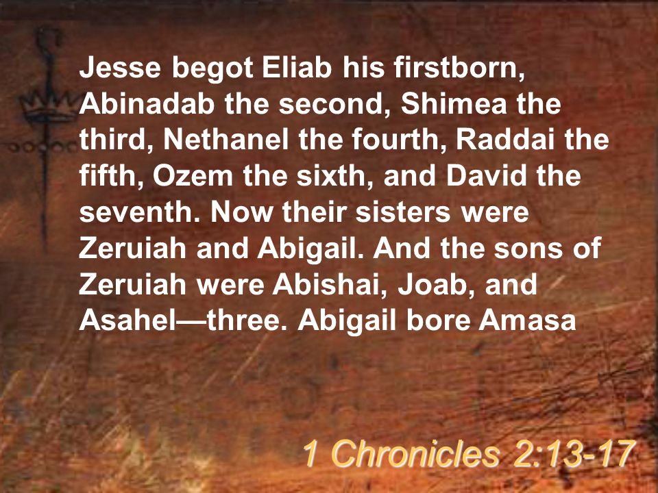 Jesse begot Eliab his firstborn, Abinadab the second, Shimea the third, Nethanel the fourth, Raddai the fifth, Ozem the sixth, and David the seventh.
