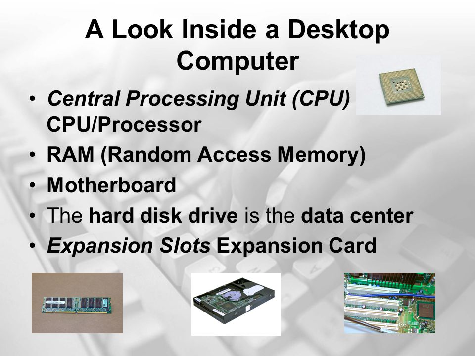 A Look Inside a Desktop Computer Central Processing Unit (CPU) CPU/Processor RAM (Random Access Memory) Motherboard The hard disk drive is the data center Expansion Slots Expansion Card