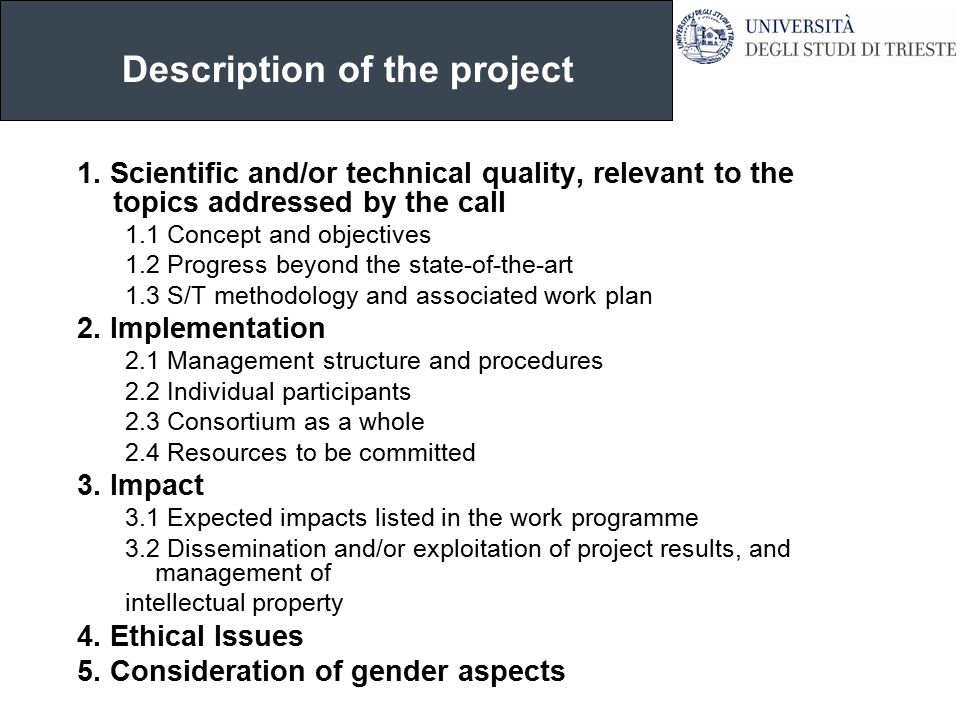 Description of the project 1.