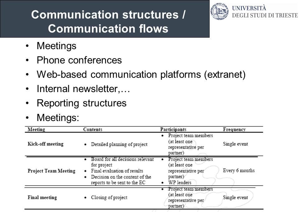 Communication structures / Communication flows Meetings Phone conferences Web-based communication platforms (extranet) Internal newsletter,… Reporting structures Meetings: