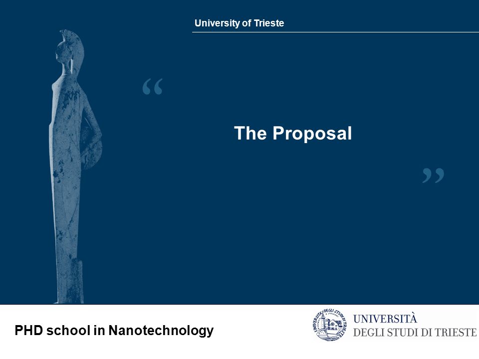 University of Trieste PHD school in Nanotechnology The Proposal