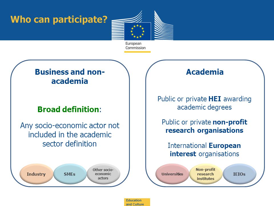 Universities IEIOsIndustry Business and non- academia Academia Other socio- economic actors SMEs Broad definition: Any socio-economic actor not included in the academic sector definition Public or private HEI awarding academic degrees Public or private non-profit research organisations International European interest organisations Non-profit research institutes