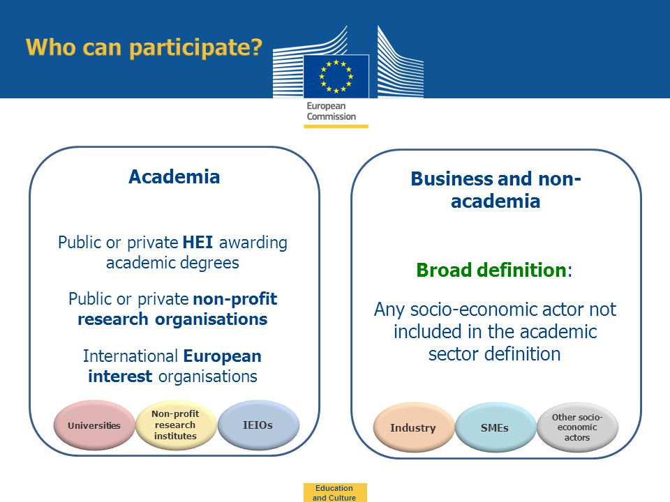 Education and Culture Universities IEIOs Academia Public or private HEI awarding academic degrees Public or private non-profit research organisations International European interest organisations Non-profit research institutes Industry Business and non- academia Other socio- economic actors SMEs Broad definition: Any socio-economic actor not included in the academic sector definition