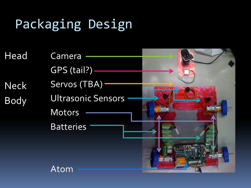 Camera GPS (tail ) Servos (TBA) Ultrasonic Sensors Motors Batteries Atom Head Neck Body