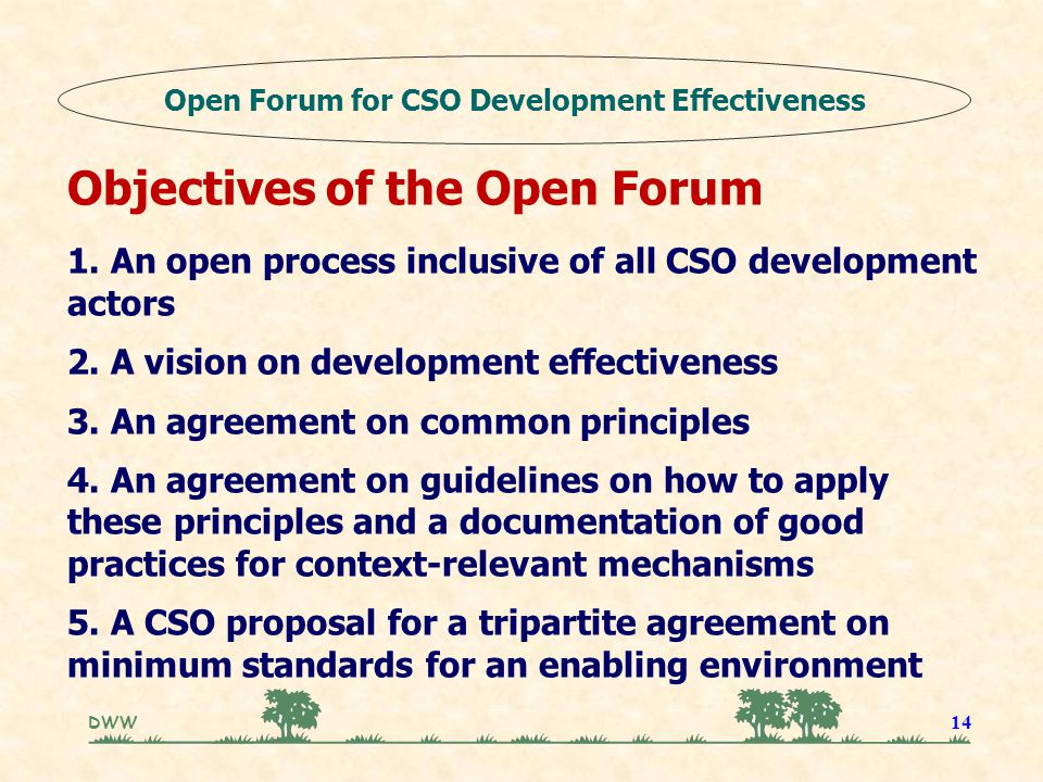 DWW 14 Objectives of the Open Forum 1. An open process inclusive of all CSO development actors 2.