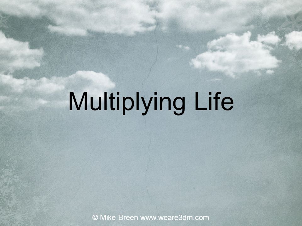Multiplying Life © Mike Breen