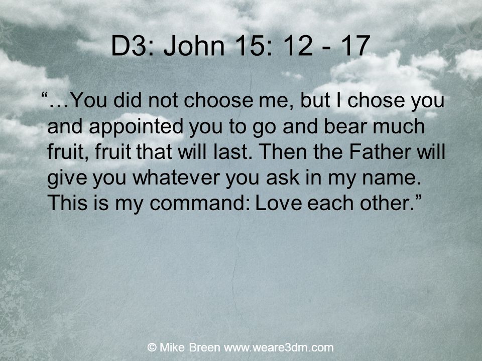 D3: John 15: …You did not choose me, but I chose you and appointed you to go and bear much fruit, fruit that will last.