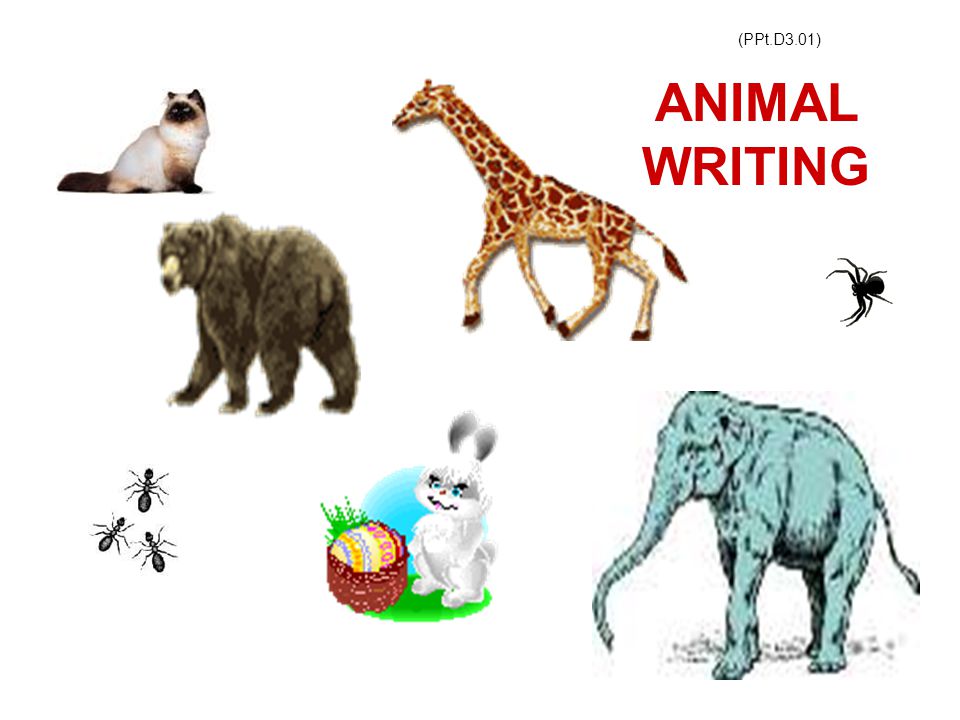(PPt.D3.01) ANIMAL WRITING