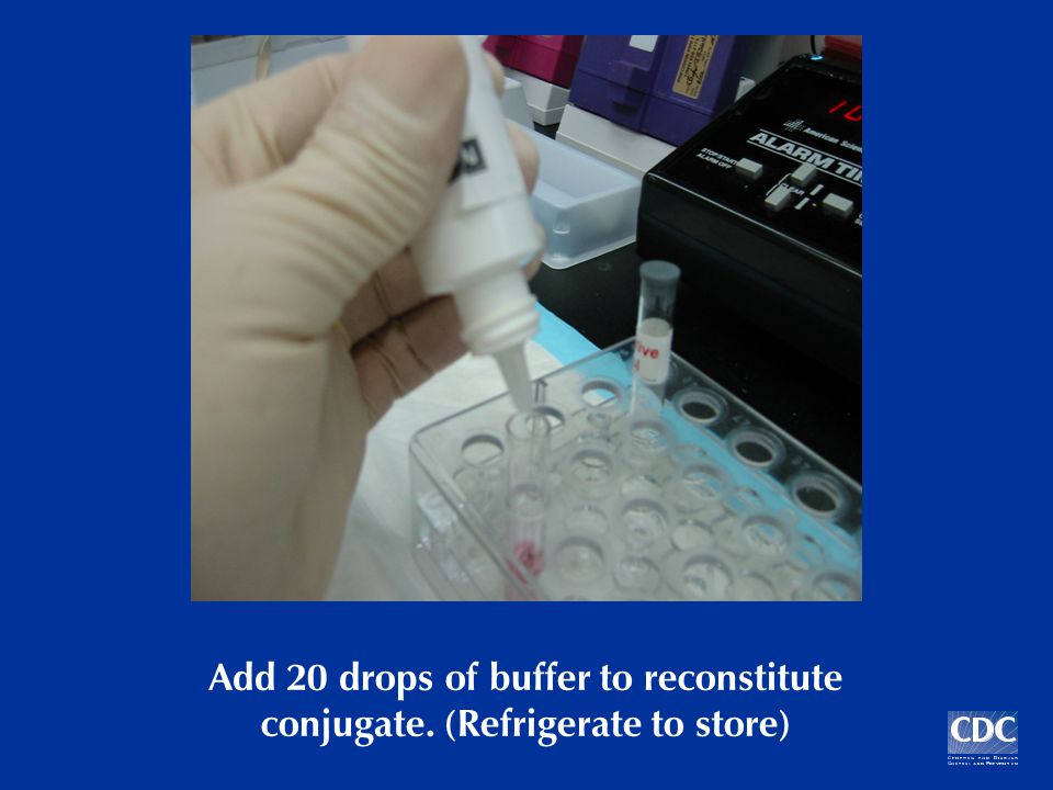 Add 20 drops of buffer to reconstitute conjugate. (Refrigerate to store)