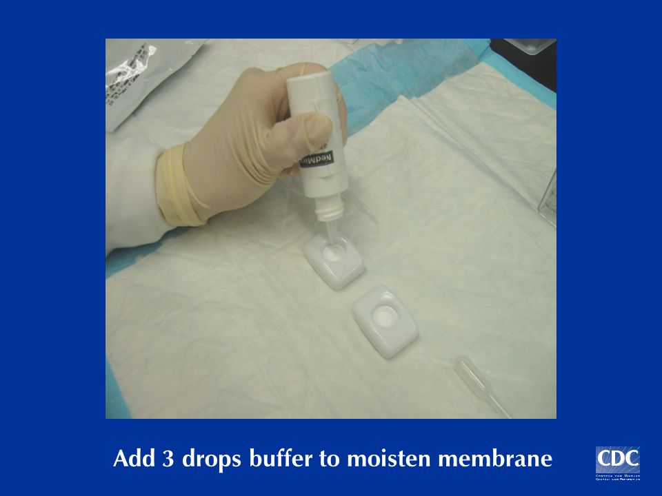 Add 3 drops buffer to moisten membrane