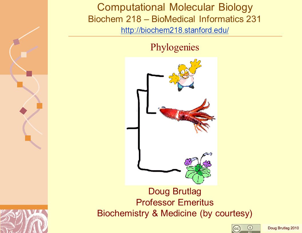 Computational Molecular Biology Biochem 218 – BioMedical Informatics Doug Brutlag Professor Emeritus Biochemistry & Medicine (by courtesy) Phylogenies