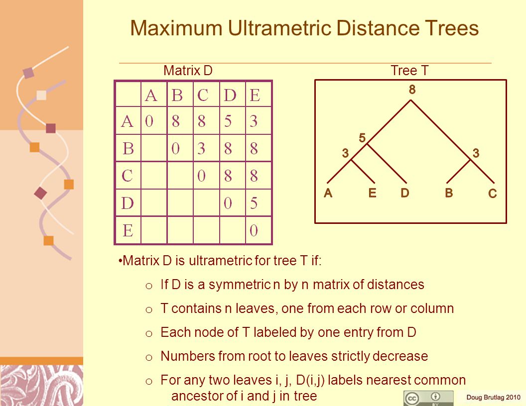 Maximum Ultrametric Distance Trees Matrix D is ultrametric for tree T if: o If D is a symmetric n by n matrix of distances o T contains n leaves, one from each row or column o Each node of T labeled by one entry from D o Numbers from root to leaves strictly decrease o For any two leaves i, j, D(i,j) labels nearest common ancestor of i and j in tree Matrix DTree T