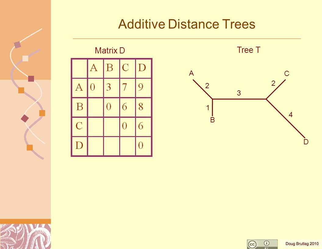Additive Distance Trees Matrix D Tree T A B C D