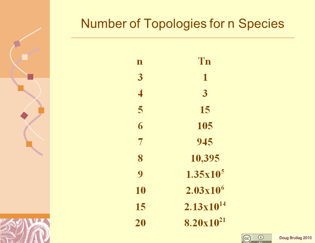 Number of Topologies for n Species