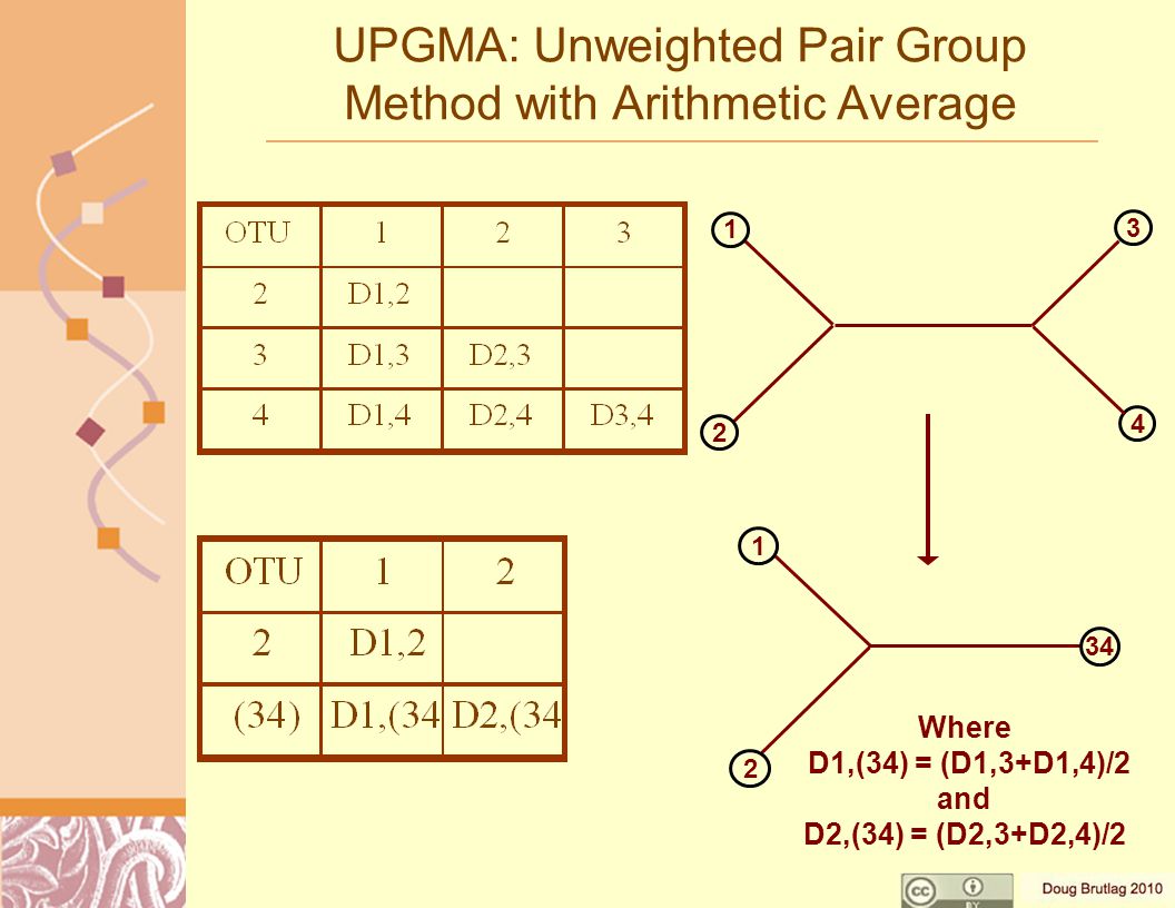 UPGMA: Unweighted Pair Group Method with Arithmetic Average Where D1,(34) = (D1,3+D1,4)/2 and D2,(34) = (D2,3+D2,4)/
