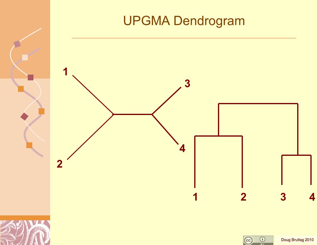 UPGMA Dendrogram