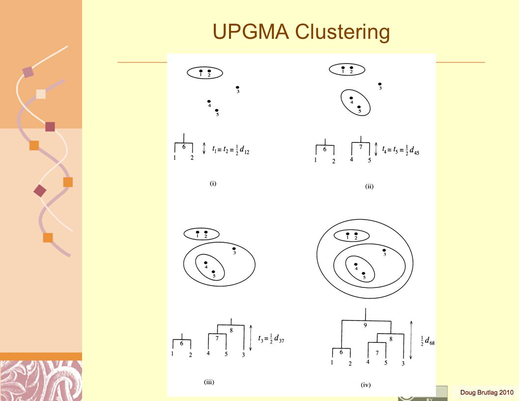 UPGMA Clustering