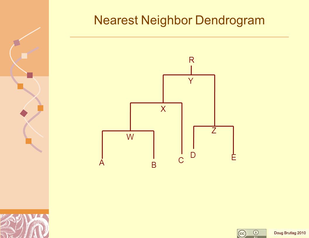 Nearest Neighbor Dendrogram A B C D E R W X Y Z