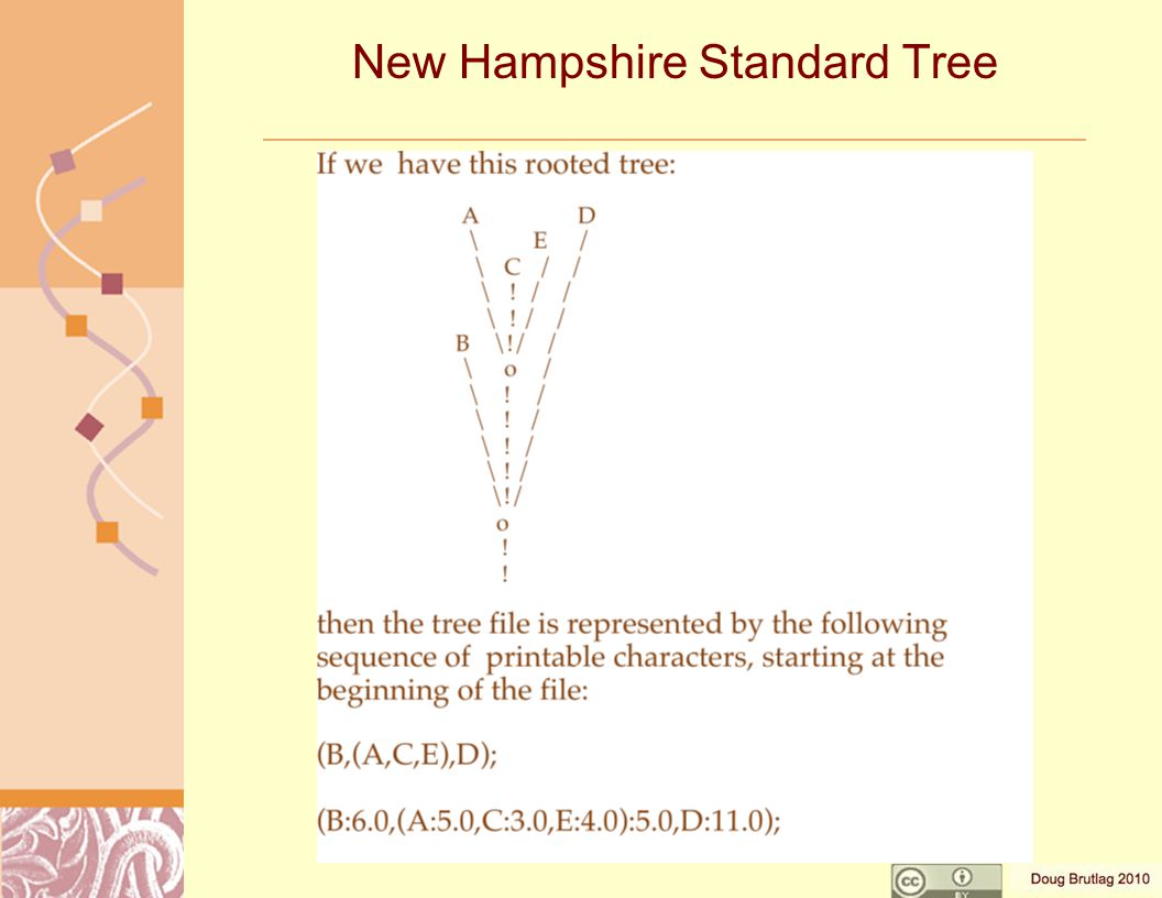 New Hampshire Standard Tree